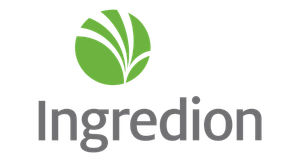 Logo empresa palestrante